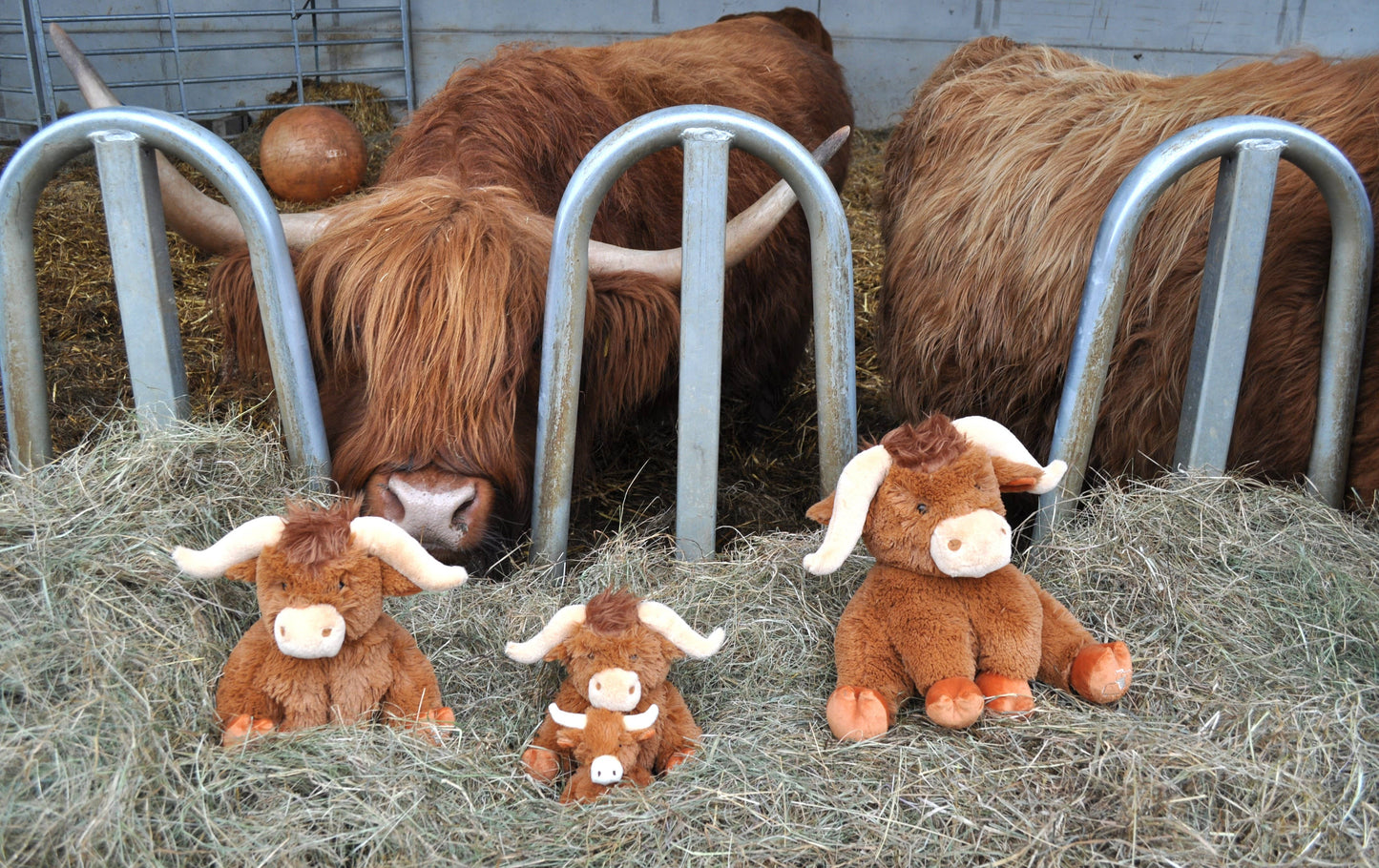 Mini Horny Highland Cow Plush Baby Soft Toy - 11cm