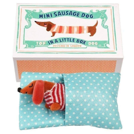 Mini Sausage Dog In A Little Box