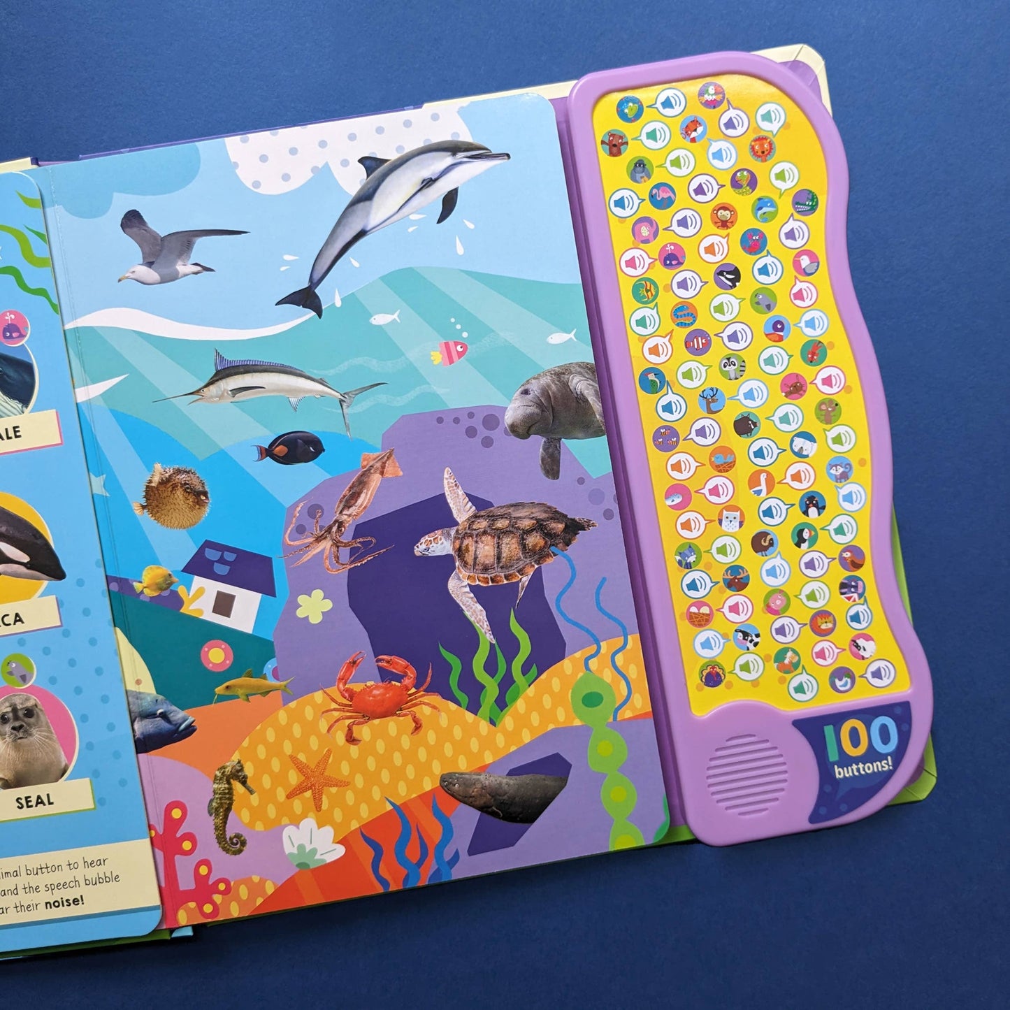 100 Button Sound Book - Animals