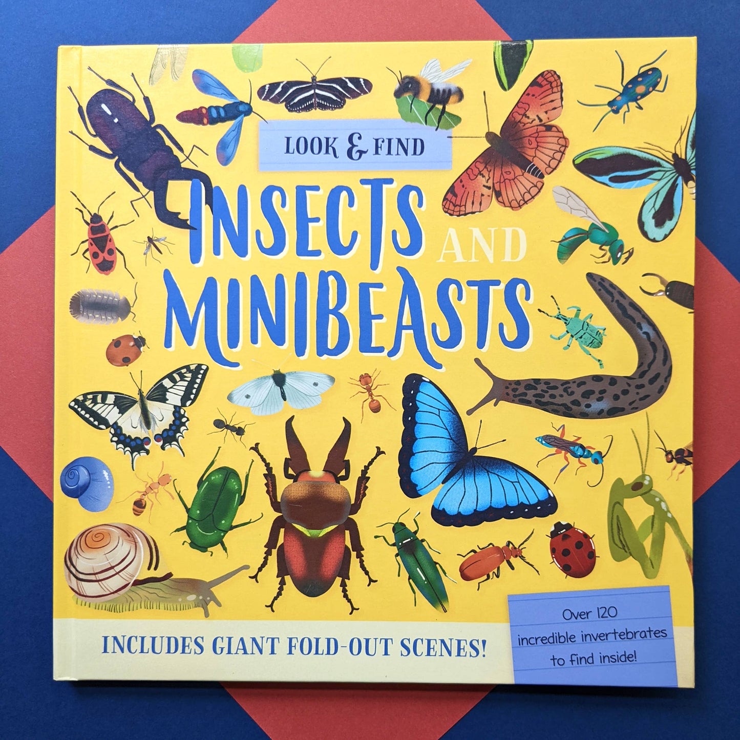 Nature Look & Find Book - Insects and Mini Beasts