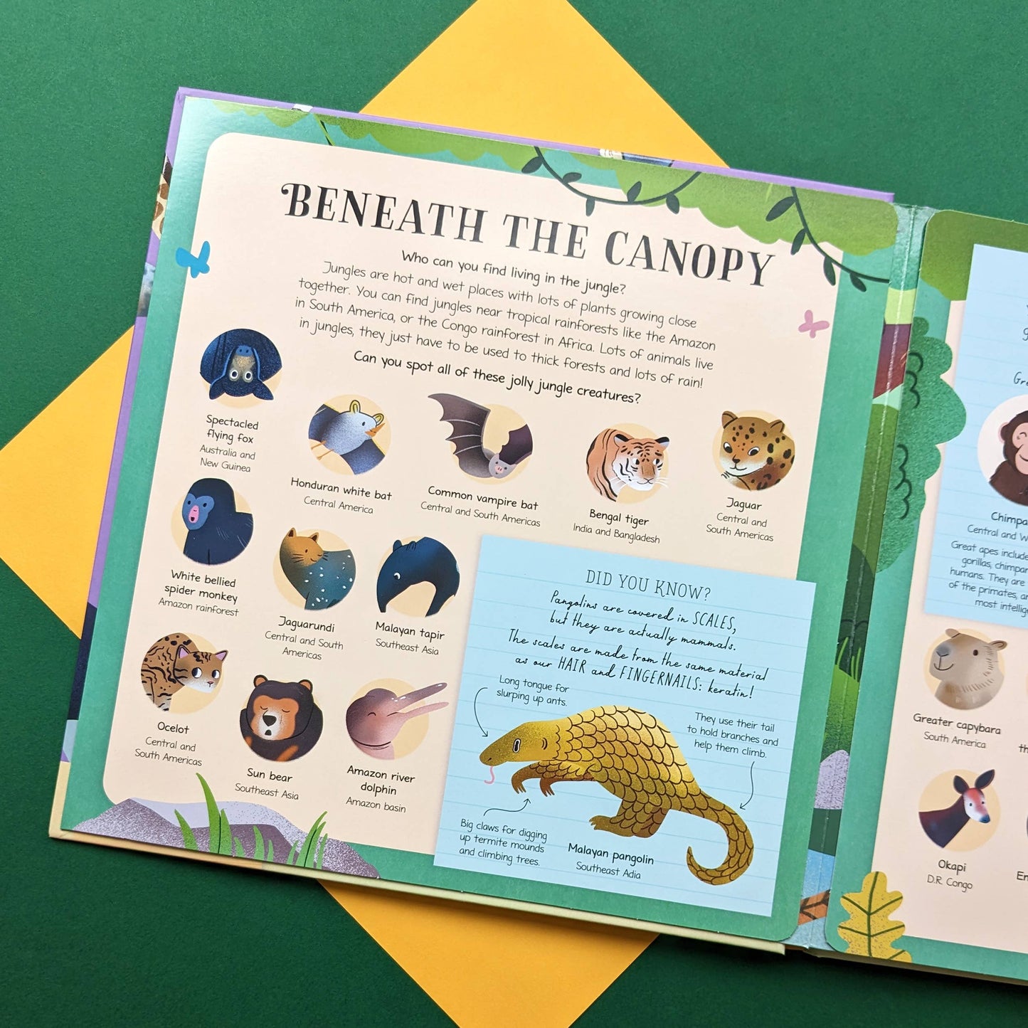 Nature Look & Find Book - Mammals