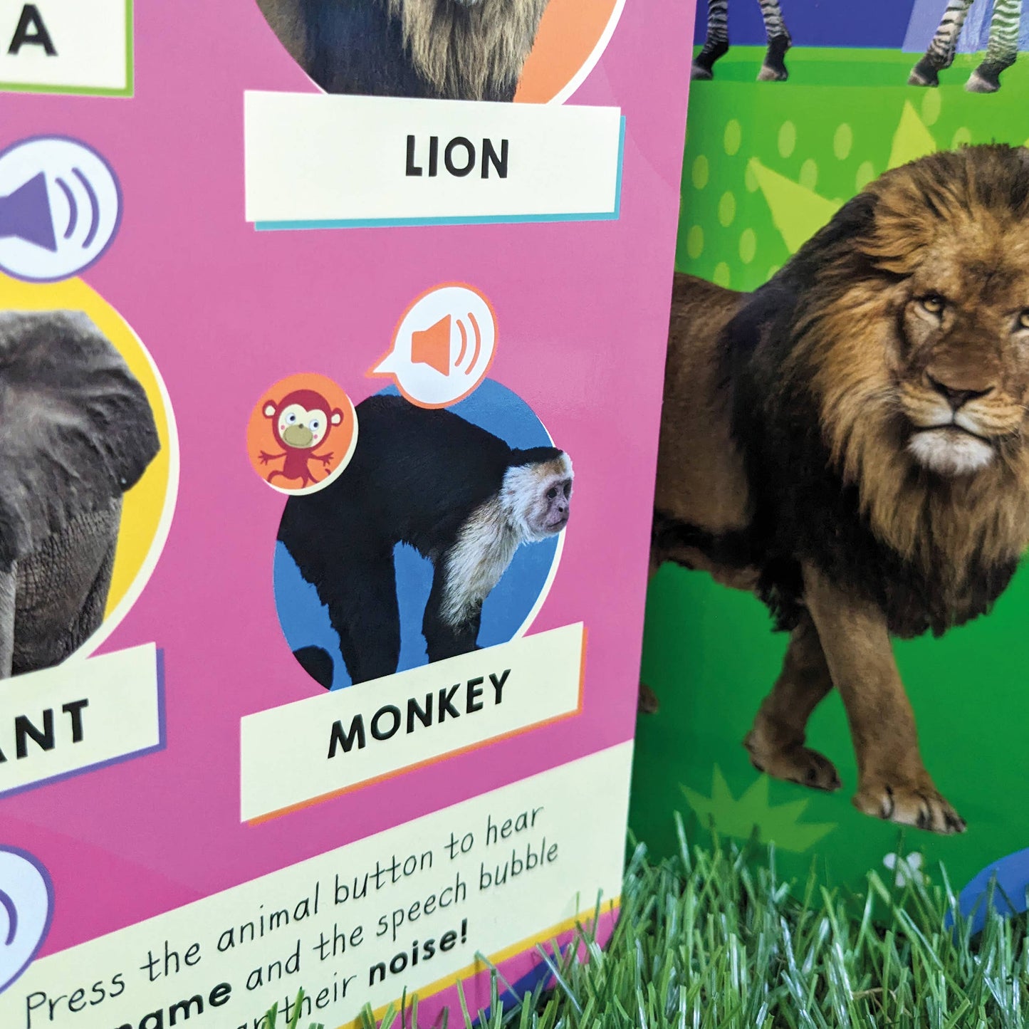100 Button Sound Book - Animals