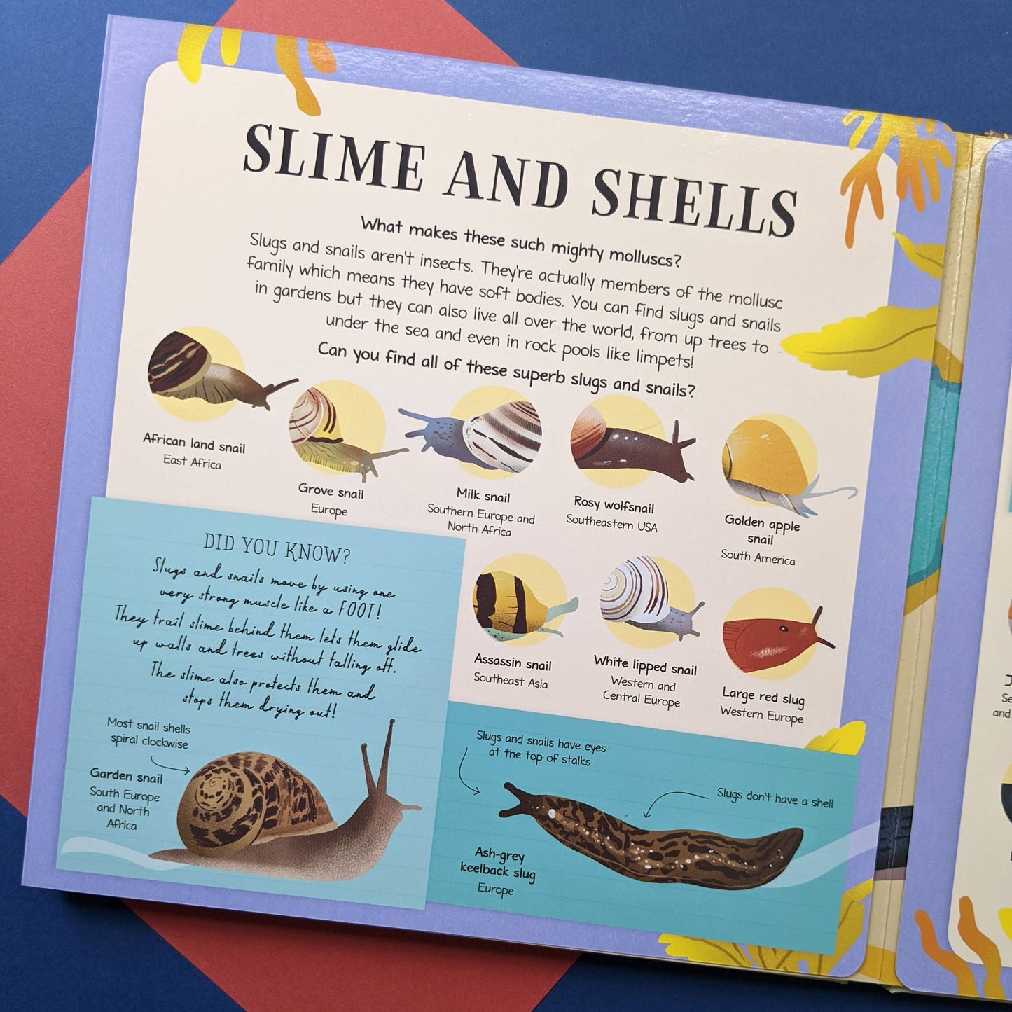 Nature Look & Find Book - Insects and Mini Beasts
