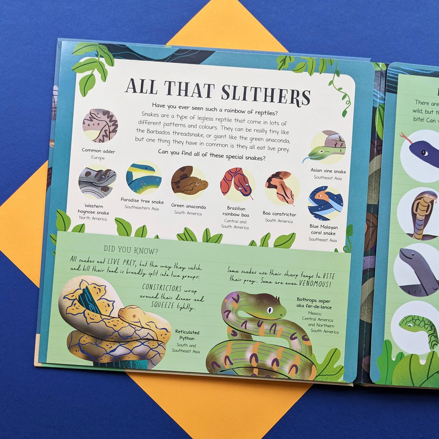 Nature Look & Find Book - Reptiles