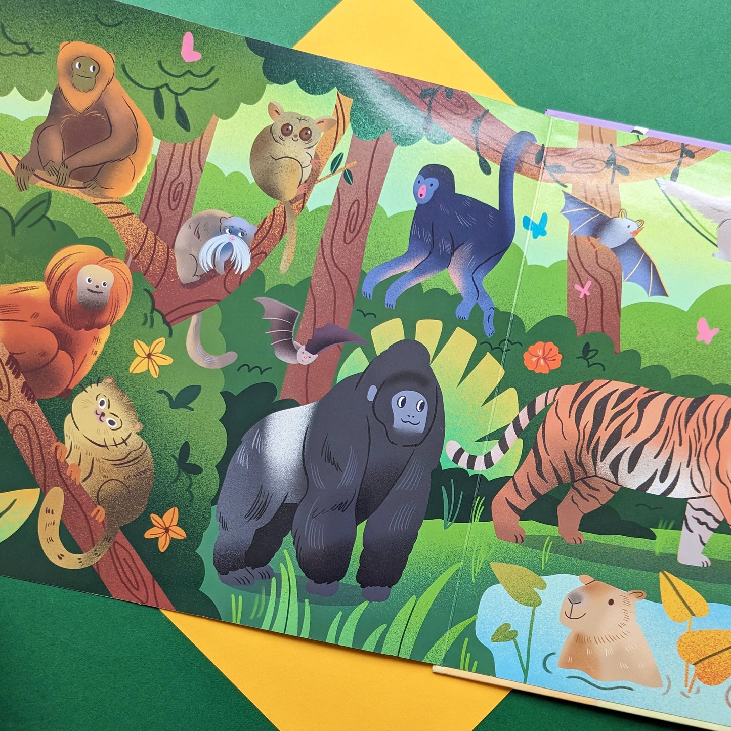 Nature Look & Find Book - Mammals