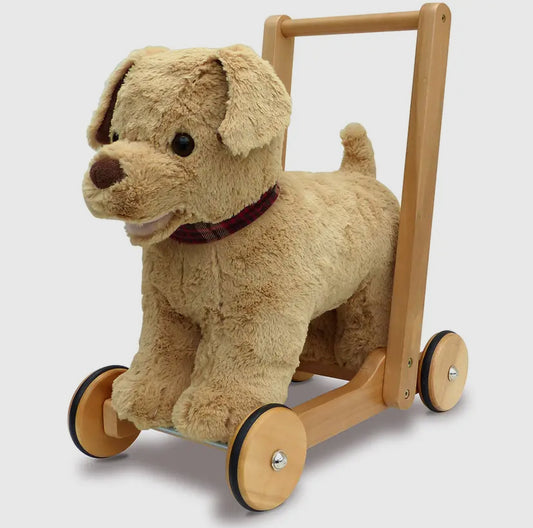 Dexter Dog Walker And Ride On.