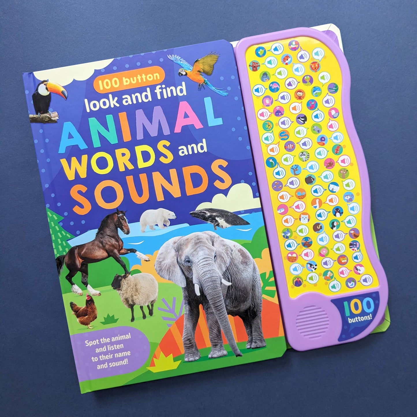 100 Button Sound Book - Animals