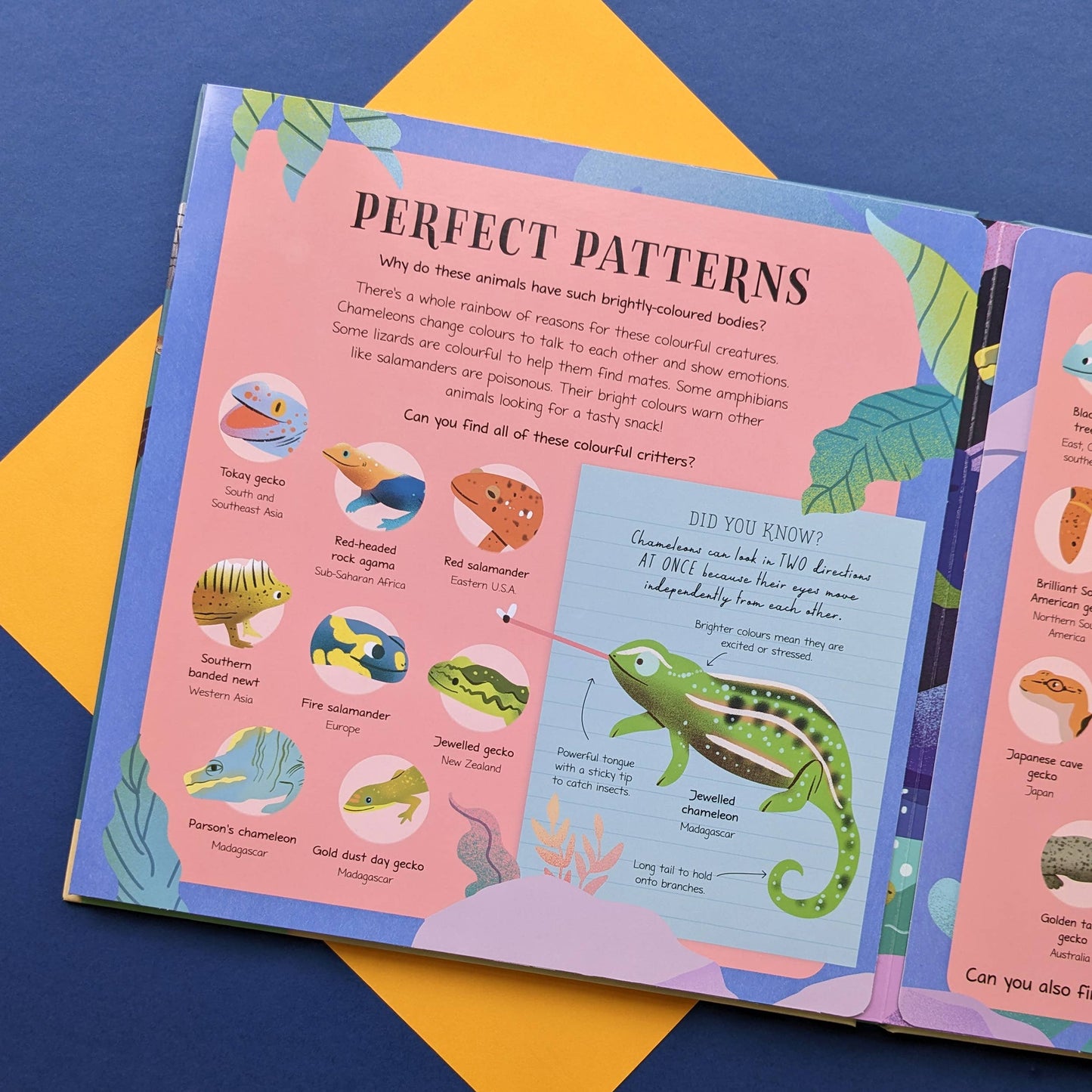 Nature Look & Find Book - Reptiles