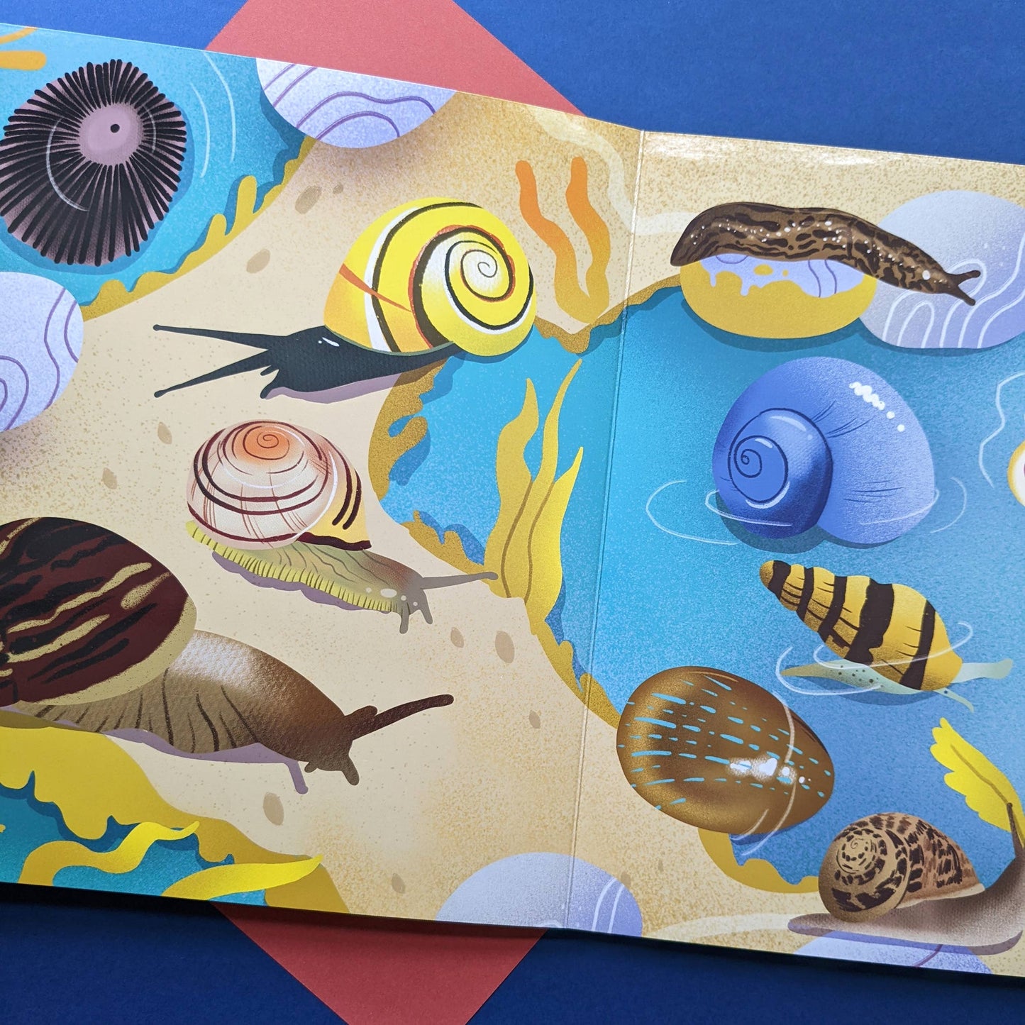 Nature Look & Find Book - Insects and Mini Beasts