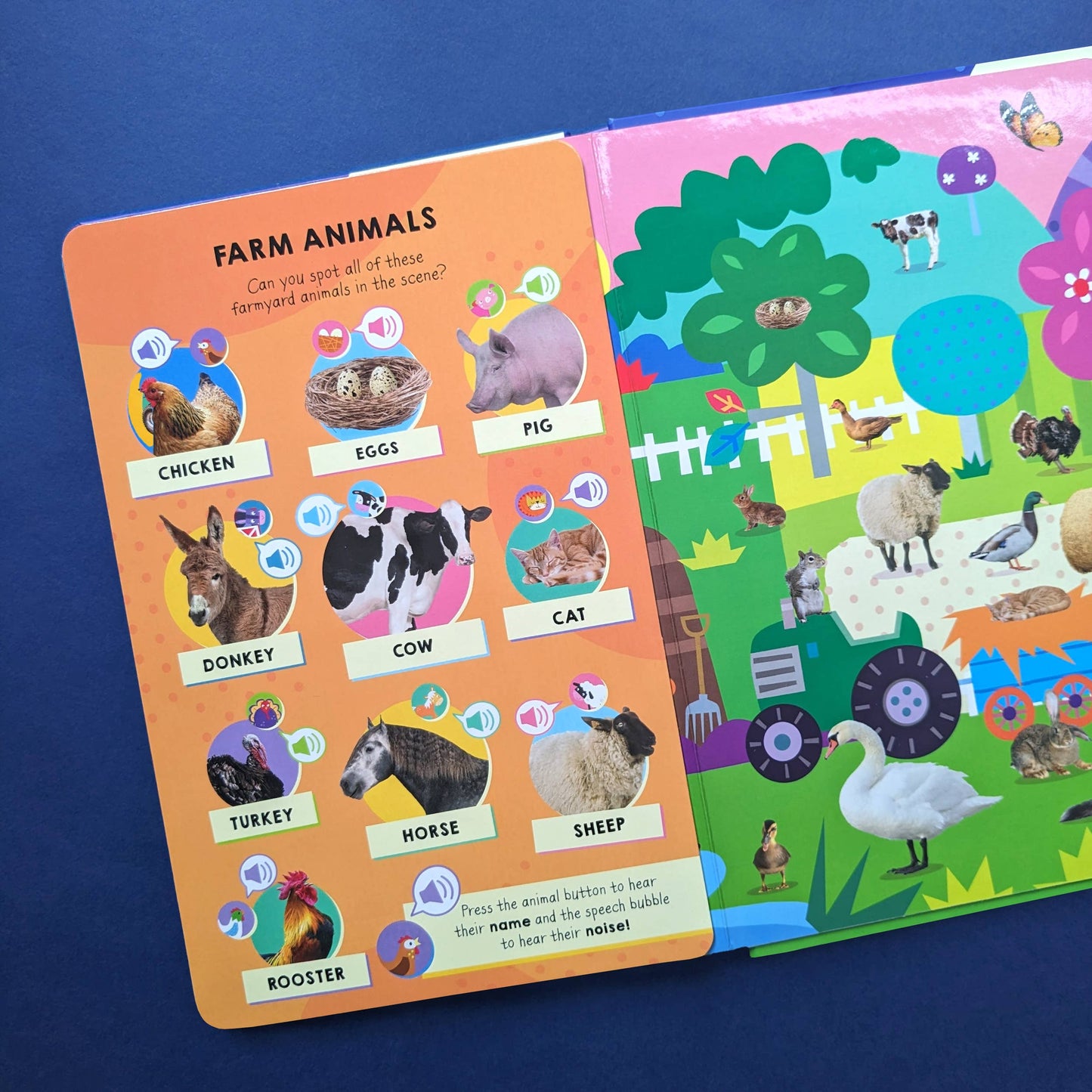 100 Button Sound Book - Animals