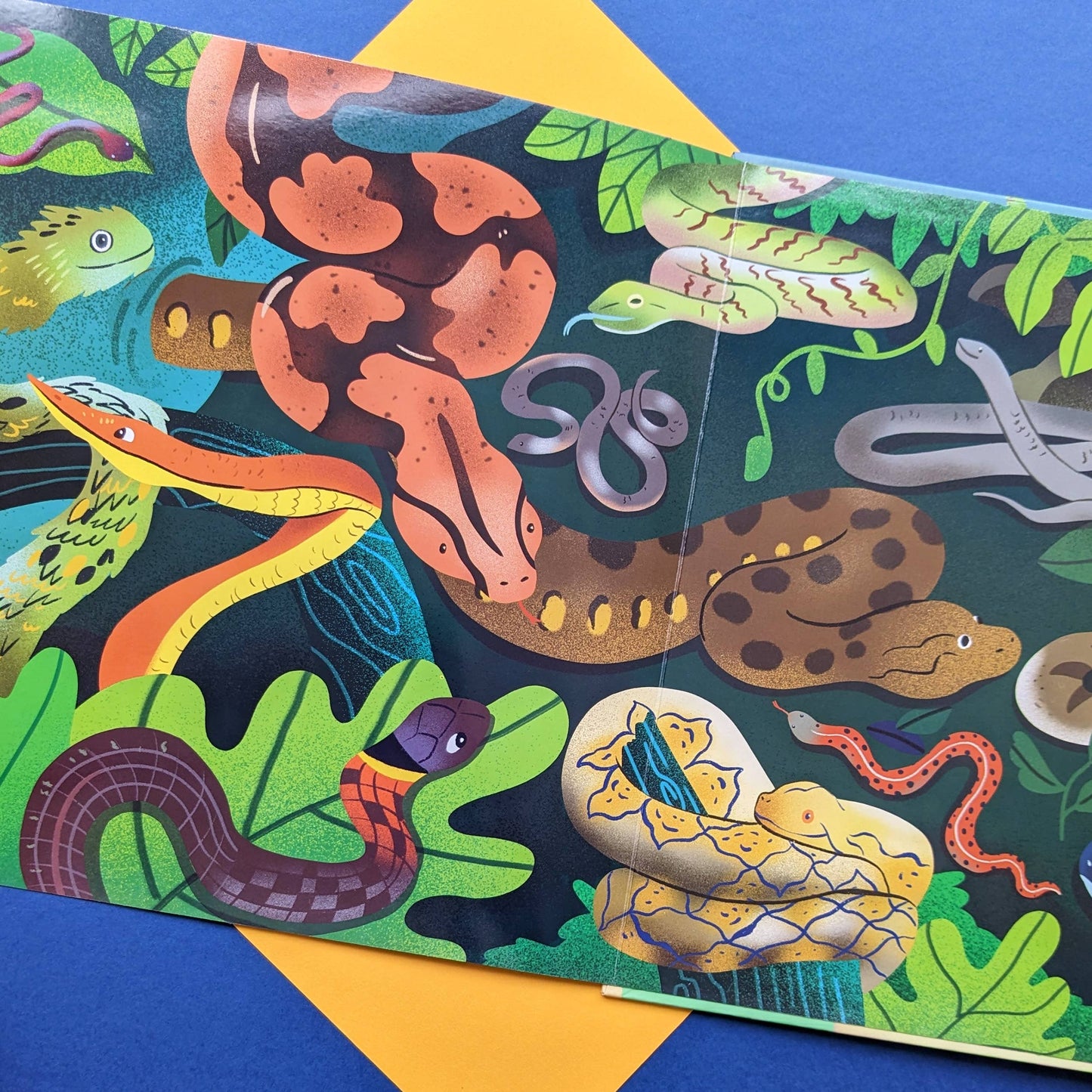 Nature Look & Find Book - Reptiles