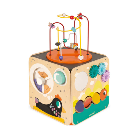 Janod Multi-Activity Cube
