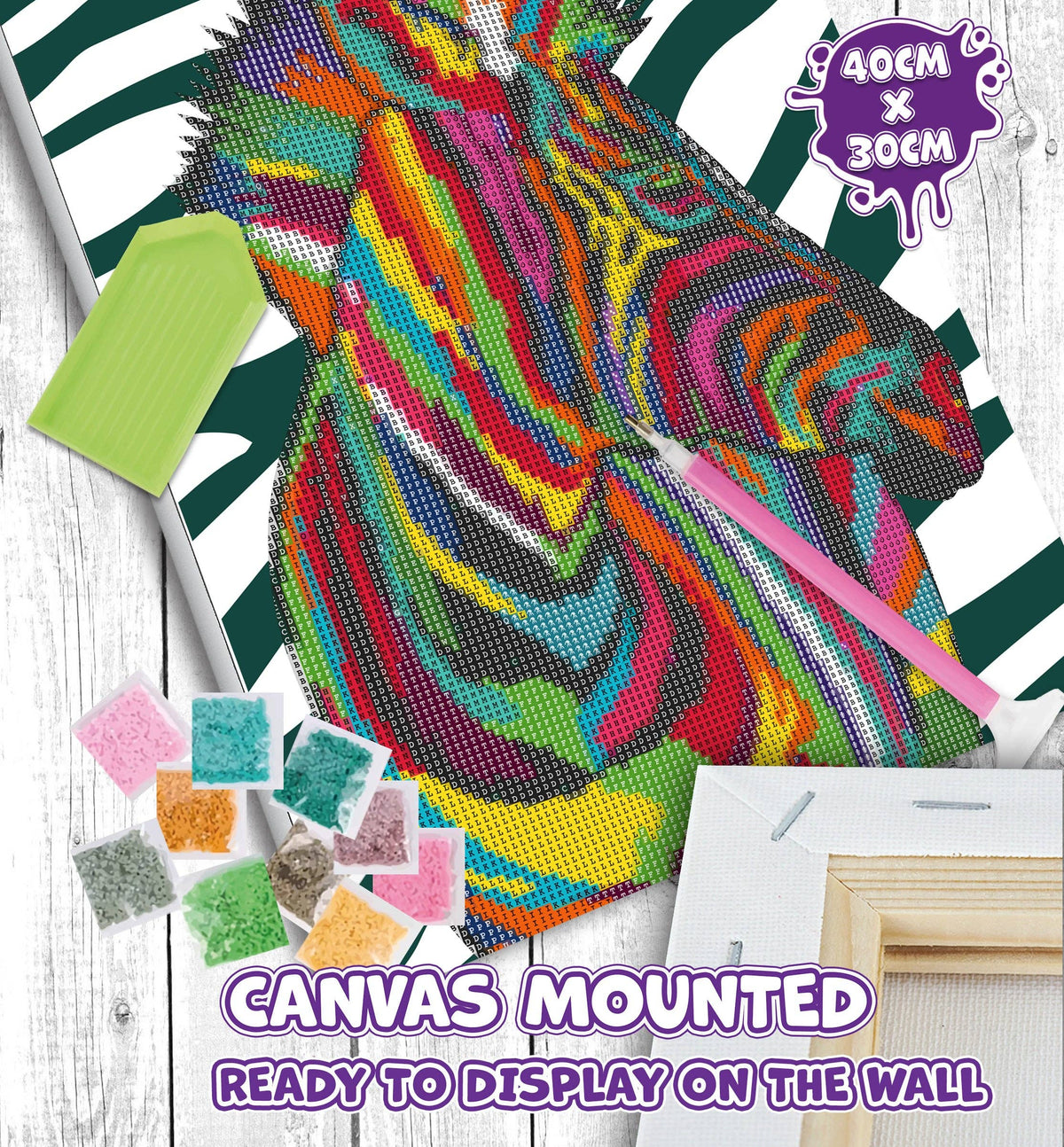 Zebra Diamond Painting Craft Set