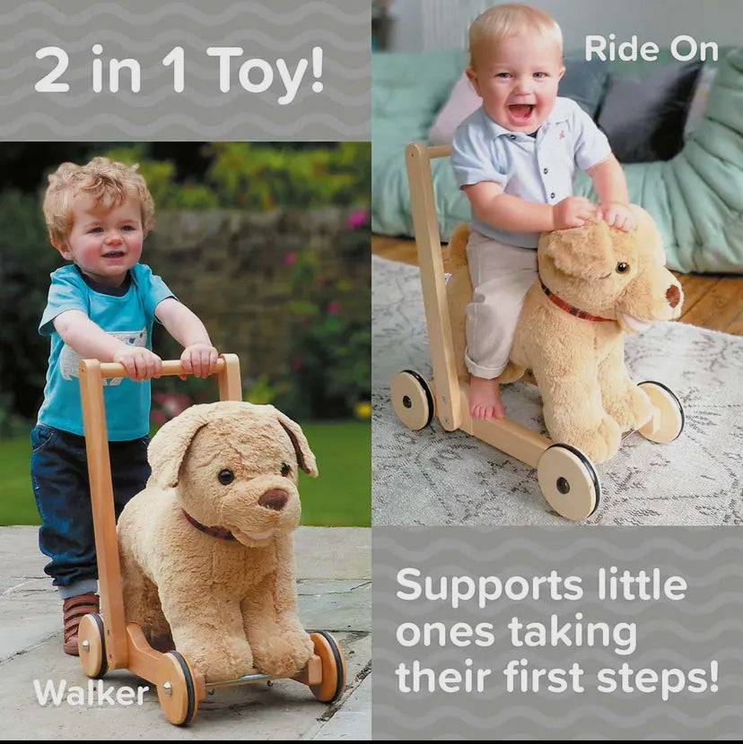 Dexter Dog Walker And Ride On.