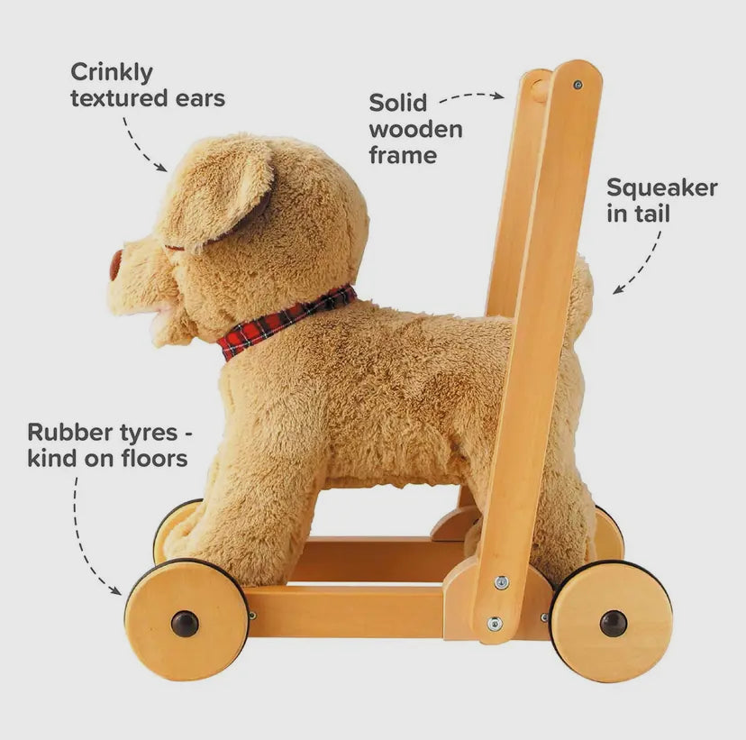 Dexter Dog Walker And Ride On.