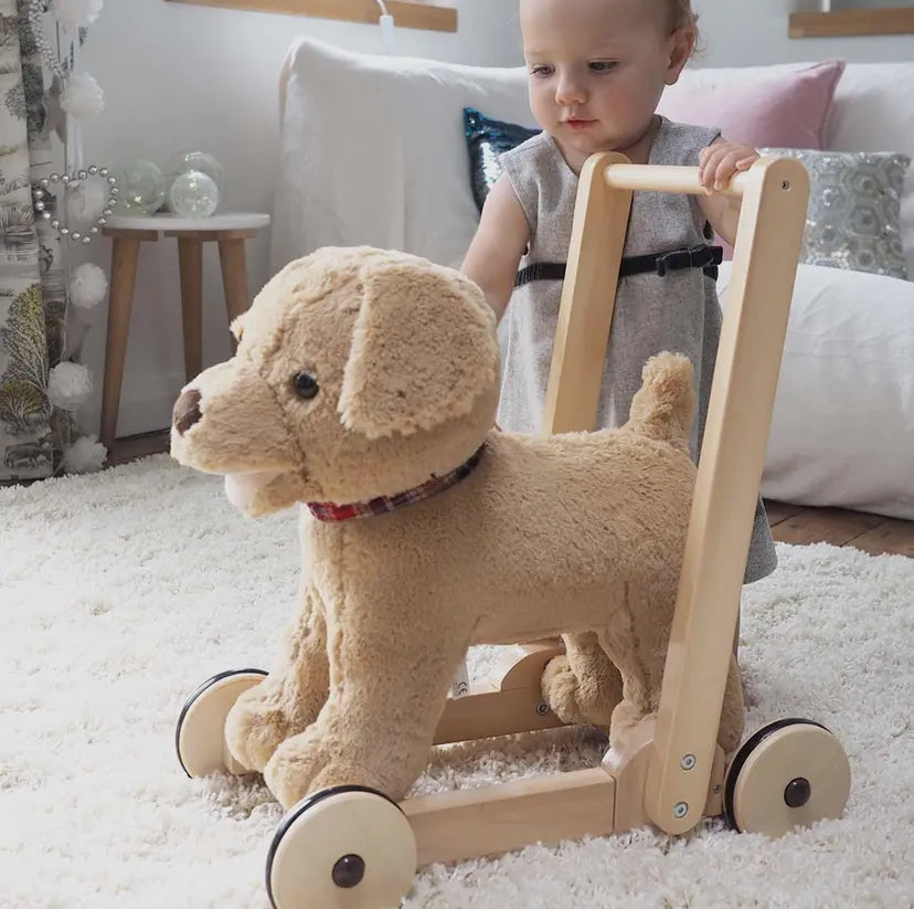 Dexter Dog Walker And Ride On.