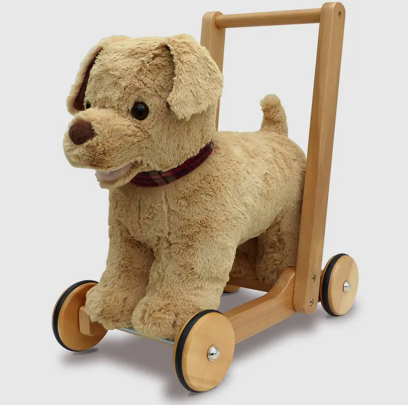 Dexter Dog Walker And Ride On.