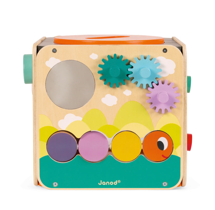 Janod Multi-Activity Cube