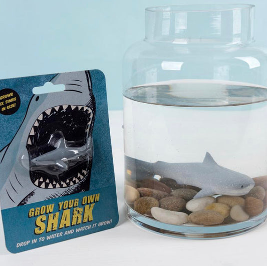 Grow Your Own Shark