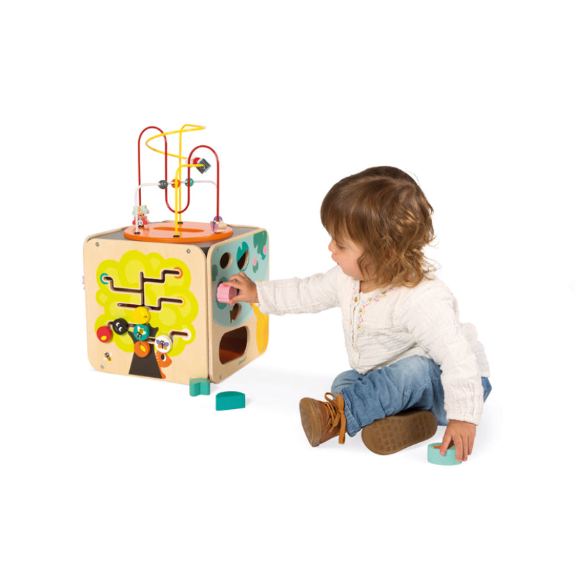 Janod Multi-Activity Cube