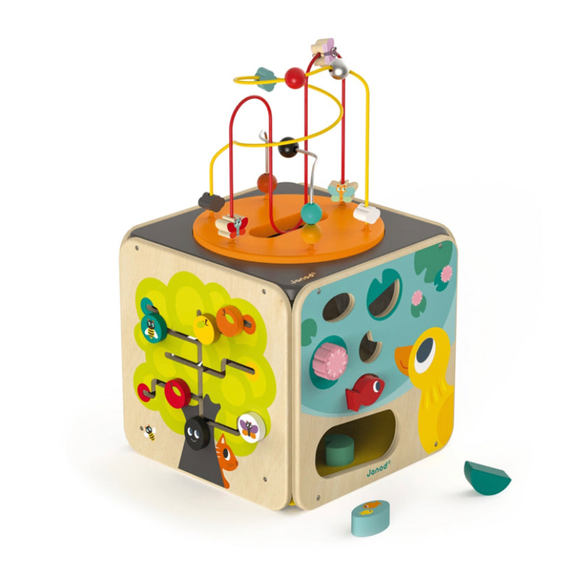 Janod Multi-Activity Cube