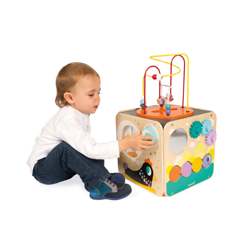 Janod Multi-Activity Cube